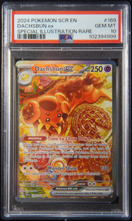 PSA 10 - Dachsbun ex 169/142